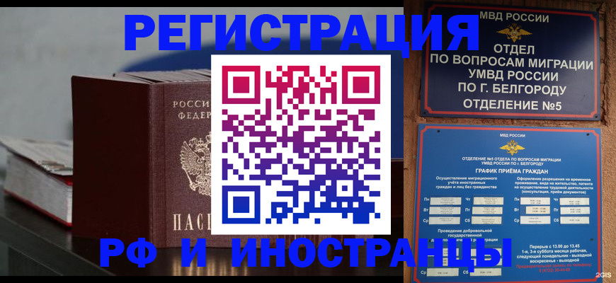 прописка 2025 в Коле