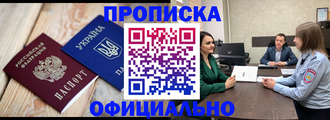 где прописаться в Коле