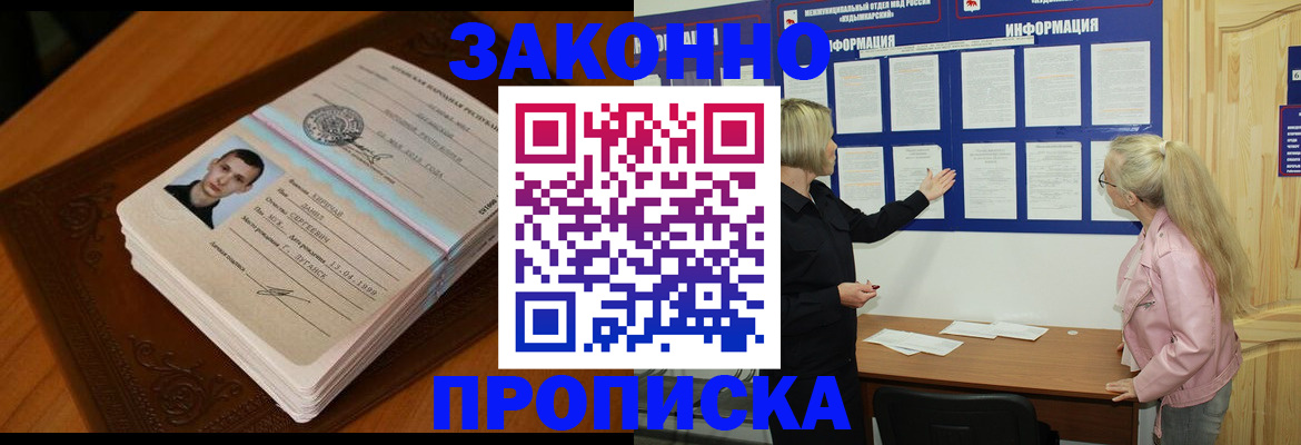 где прописаться в Коле